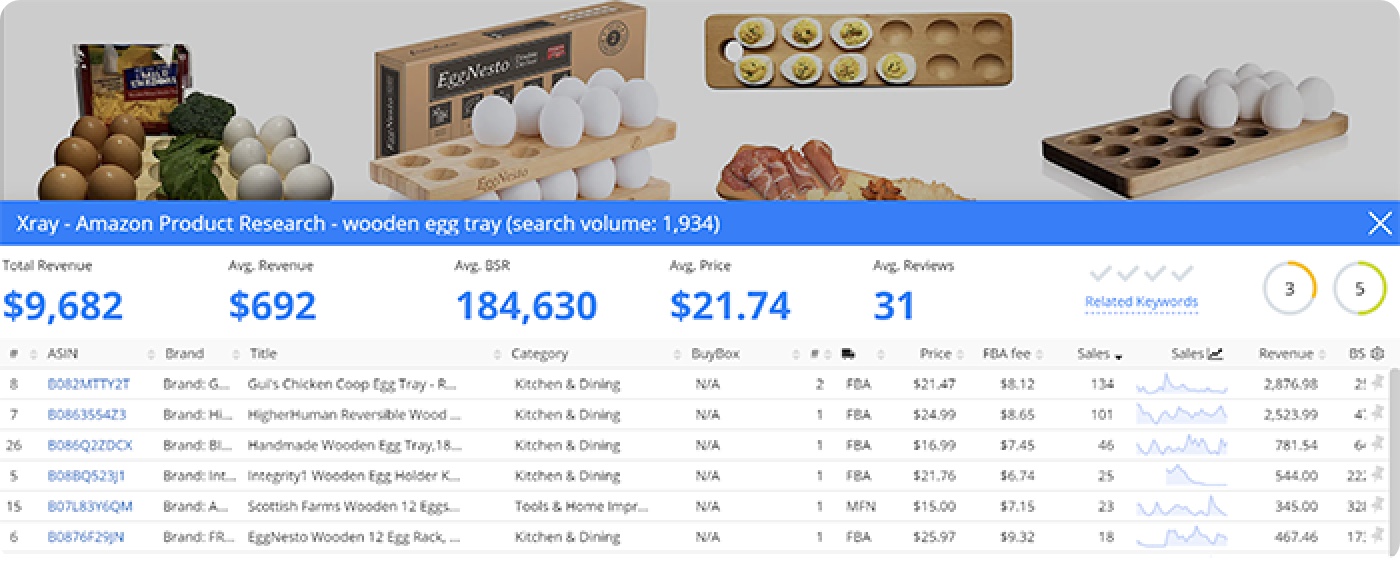 x-ray-wooden-egg-tray