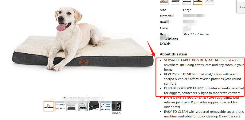 亚马逊五点描述