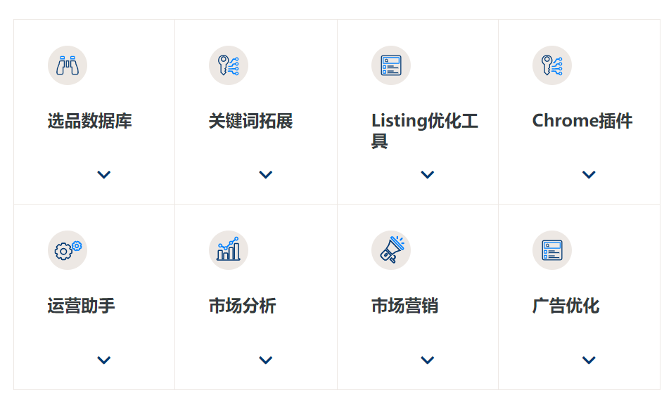 亚马逊精品店运营