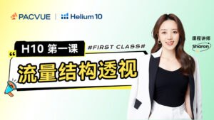 H10第一课：竞品流量结构分析